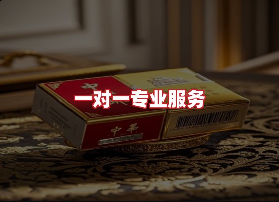 专业团队